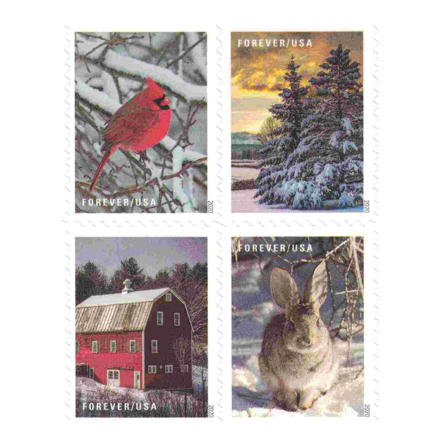 Winter Scenes