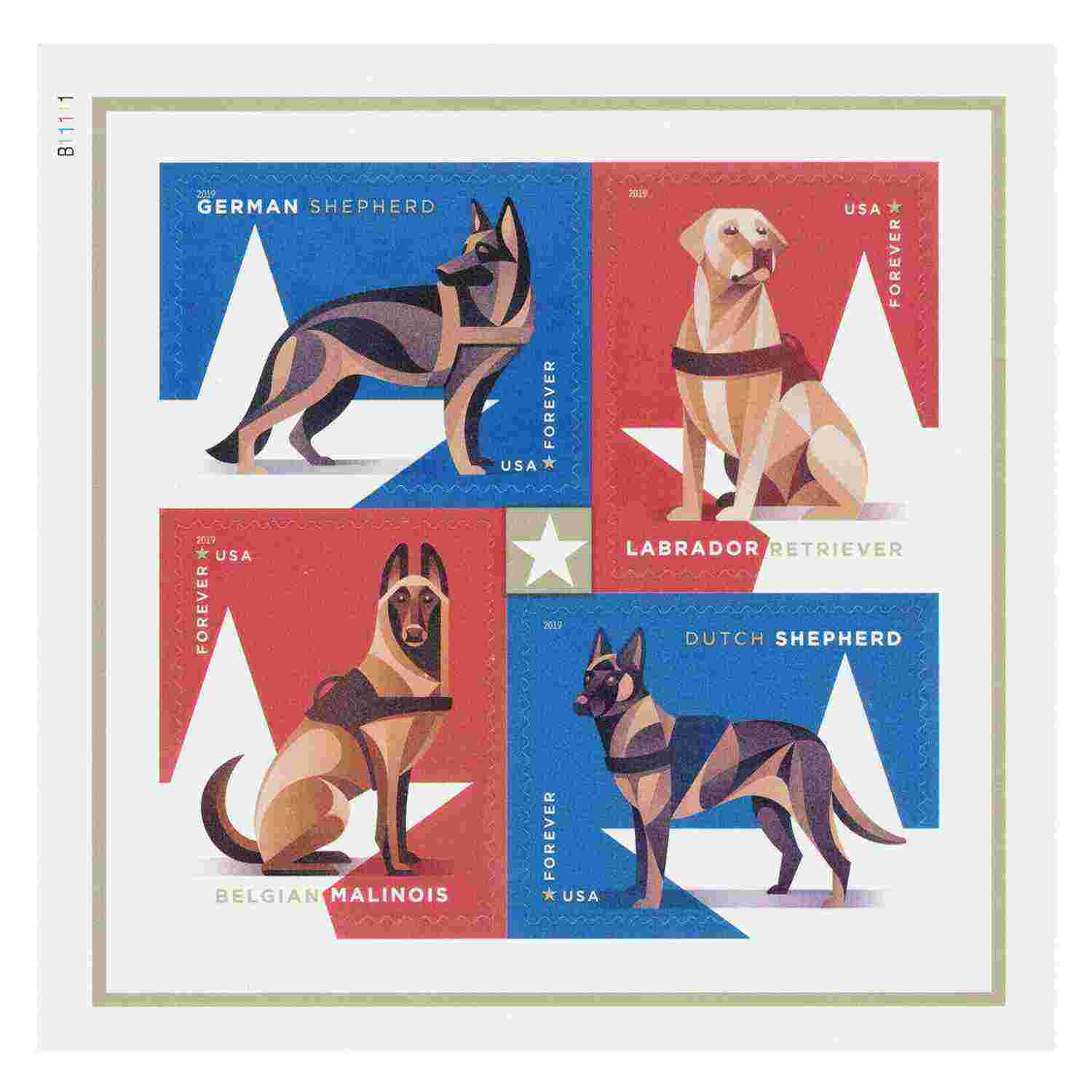 Military Working Dogs