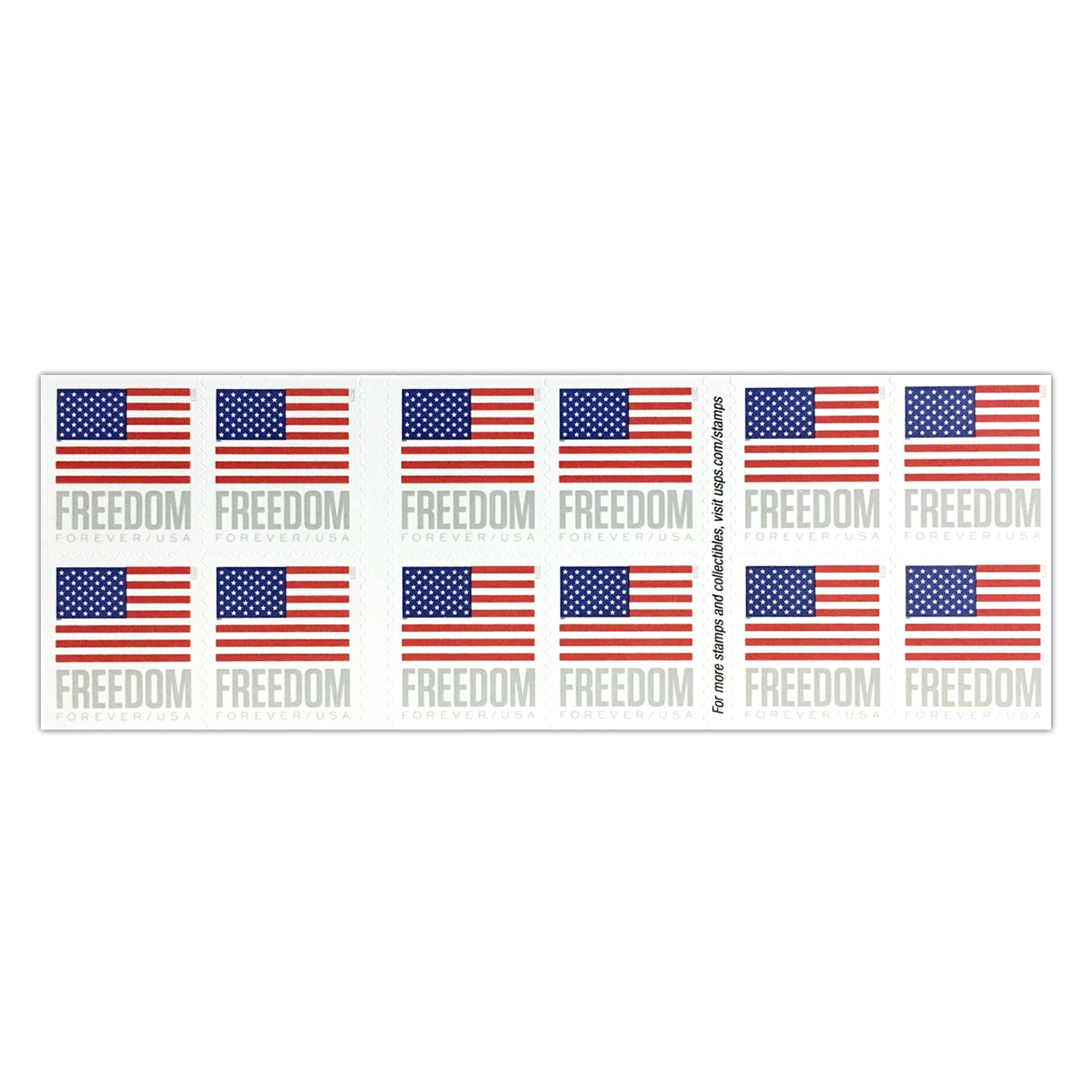 U.S. Flag 2023