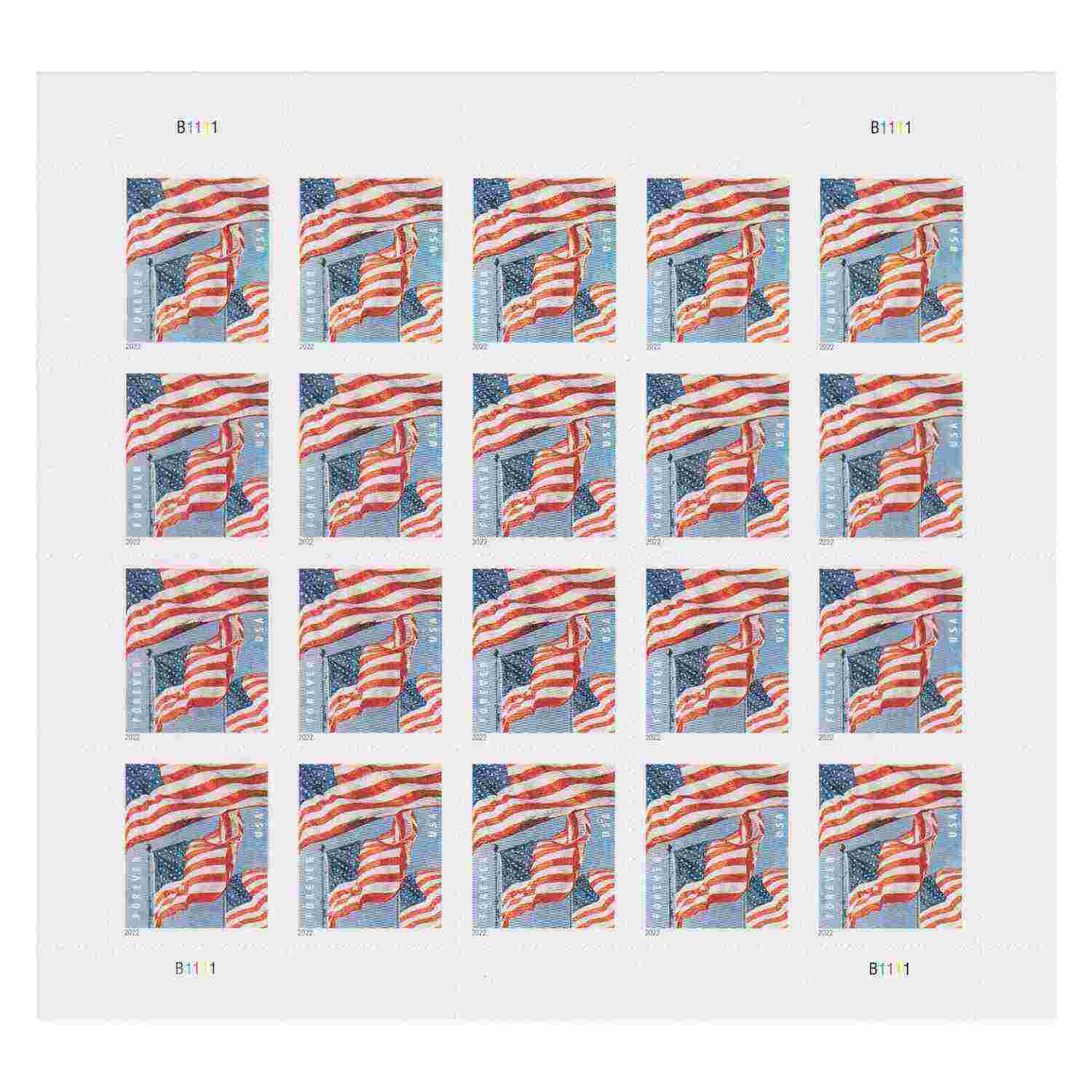 U.S. Flag 2022